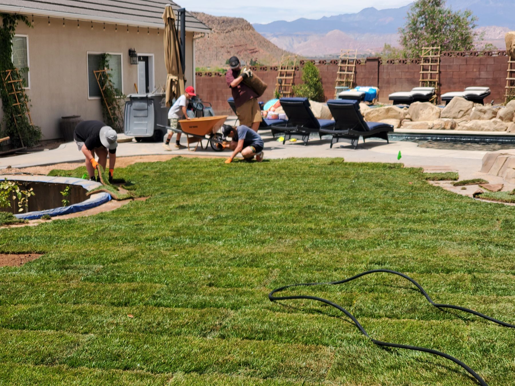 Backyard sod installation in progress